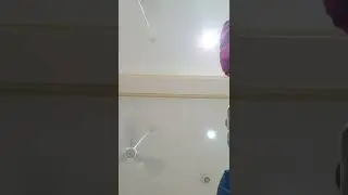 صلاة التهجد مع الوتر - القاريء محمد الوكيل - ليلة ٢٢ رمضان ١٤٤٣هجري ، جامع الهباش-جدة