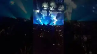 Marshmallow at the norva video 2