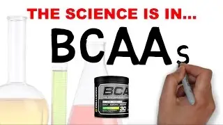 BCAA CONFUSION : WHAT DO BCAA s DO?