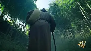 【ENG】《问径》陆羽的茶 EP01【CCTV纪录】