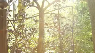 America's Garden Capital