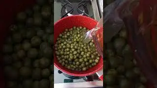 Jurubeba em conserva