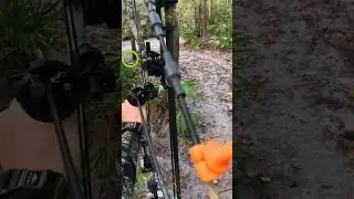 Стрела против Кабана &ndash; охота всей жизни!  #wildboar #hunting #huntingshorts #hoghunting #hunter