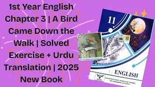 1st Year English Chapter 3 | A Bird Came Down the Walk | Solved Exercise  | 2025 New Book