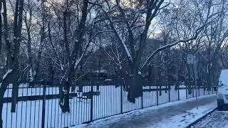 SNOW IN BERLIN GERMANY 🇩🇪 2021 HD