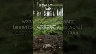 Wat gebeurt er met een lichaam onder de grond? #uitvaart #openoverafscheid #begrafenis