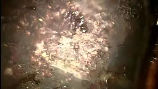 1702 swallowtail sewer camera inspection