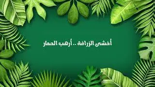 بسبوس - طلال سام | لاشيء أبداً كزين