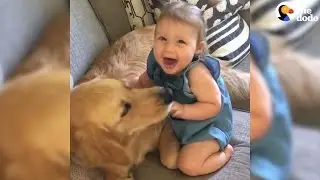 Dogs and Kids Growing Up Together | The Dodo