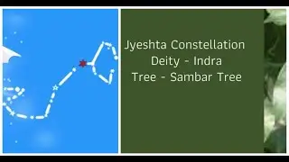 Worship Tree Be Free . Jayesta Nakshtra.. सावर. શેમલી,Salmalia malabarica Rubra