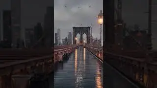 Completely Empty Brooklyn Bridge tiktok dylan waalker