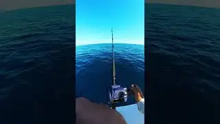  Uncut clip of an electric reel bringing in 1000ft of line with 8lbs of weight and a fish on it.
