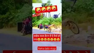Horse good actions #animals #shorts #horse #nehadallyvlogs #youtubeshorts