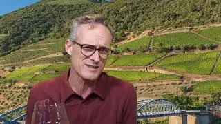 Tasty Expectations | Wine & Soul Pintas Character 2018