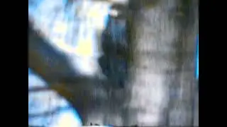 Movie0025