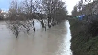Ponte Testaccio