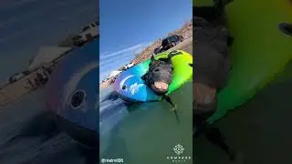 Arthritic Horse Loves Floating in Rubber Ring
