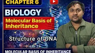 Molecular Basis of Inheritance |Edureds | Structure of DNA RNA #genetics Class 12th biology L1 Dhruv