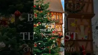 The Most Magical Christmas Town in France | Colmar ✨ #ColmarAlsace #ChristmasMarkets #VisitColmar