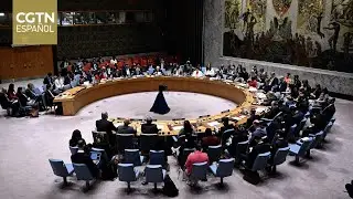 Representante chino ante ONU insta a tomar medidas para distender situaci&oacute;n entre el L&iacute;bano e Israel