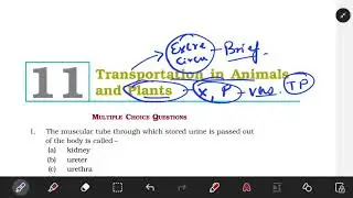 Class 7th science ncert exemplar chapter 11th | Transportation in Animals & Plants @edutropism
