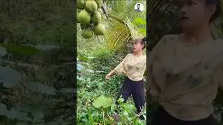 Coconut factory in china 😱 #shorts #shortvideo