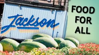 Farm to Family Spotlight: Grow Jackson