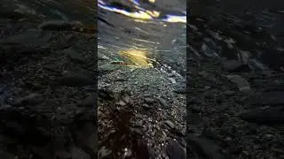 Hidden River Calm 💦