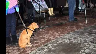 10.12.2010.mp4