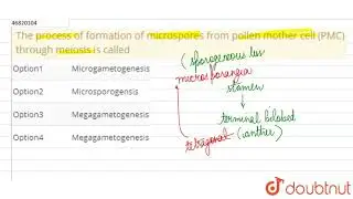 The process of formation of microspores from pollen mother cell (PMC) through meiosis is called