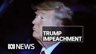 First televised Trump impeachment inquiry hearings held in Washington | ABC News