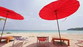 🎶😎 REGGAE WEDNESDAY! Beach Cabana Vibes: Tropical Reggae Serenade by the Seaside