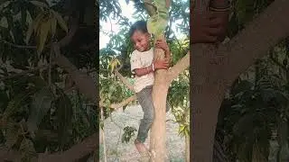 Beta niche aaja nahi marungi#viralvideo #shortvideo #trending #comedy #viralvideo #shortvideo#funny#