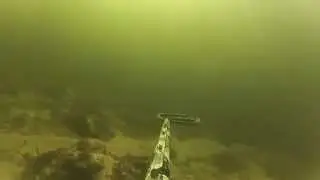 PESCA SUB 2015
