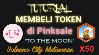 TUTORIAL MEMBELI TOKEN ATAU PRIVATE SALE DI PINKSALE 