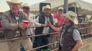 SALUDANDO LA GENTE DE TETILLAS EN SU BONITO COLEADERO 🤠🐴🐂🇲🇽👍