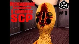 Неожиданная встреча с СЦП-173. SCP:CB прохождение #1.