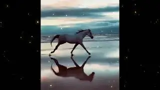 Free Horse Running by the Ocean 🌊 Calm Lofi Beats for Focus, Chill & Inner Freedom