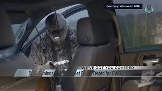 Wisconsin DNR reminds hunters to test deer for CWD