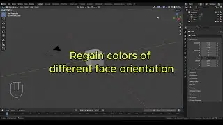Regain colors of different face orientation | Blender 5.0.1