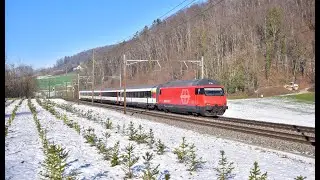 Trains dans la neige &agrave; Tecknau en Janvier 2024 (Argovie)