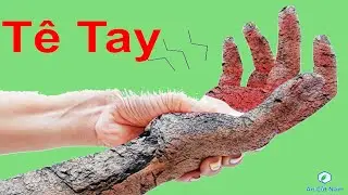 Tê Bì Chân Tay | Đây Là 1 Cách Đơn Giản Giúp Bạn Bớt Tê Tay Chân/ Mẹo Trị Tê Tay Tê Chân Hiệu Quả
