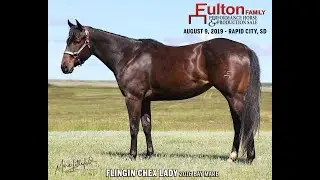 2019 Fulton Sale - Lot 41 Flingin Chex Lady