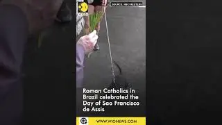 Roman Catholics in Brazil celebrated the Day of Sao Francisco de Assis