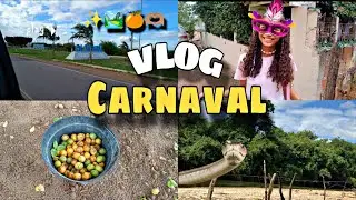✨ VLOG DE CARNAVAL NO INTERIOR DA BAHIA 🎉💃/OLINDINA BA- Robertinha Vasconcelos