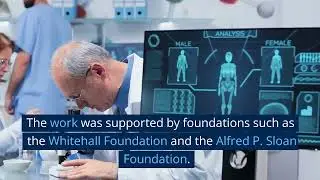 New AI Translates Brain Activity into Text Without Surgical Implants