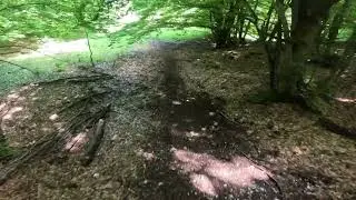 Canalone - Tornimparte Enduro MTB