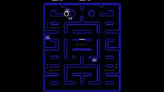 VECTOR PAC-MAN (xen's revenge) ARCADE MAME NAMCO 2000