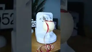 Job ko ab karo bye bye | business karo | ab time nhi hai sochne ka karne ka time aa gya