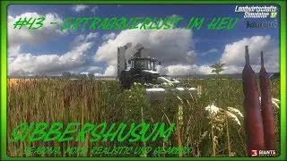LS17 / Sibbershusum / #43 - Ertragsverlust im Heu | Seasons + MR + GB